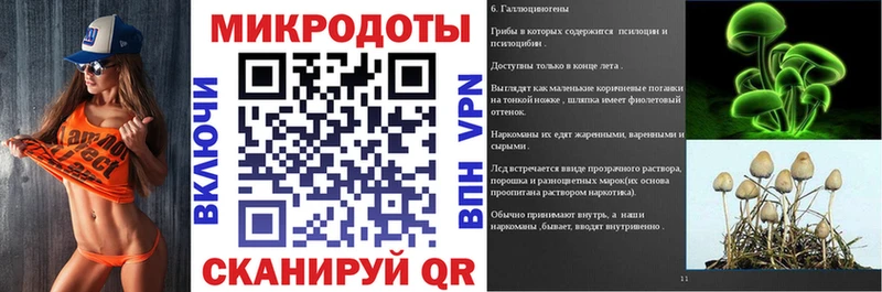 Галлюциногенные грибы мицелий  купить наркотик  hydra ONION  Гаврилов-Ям 