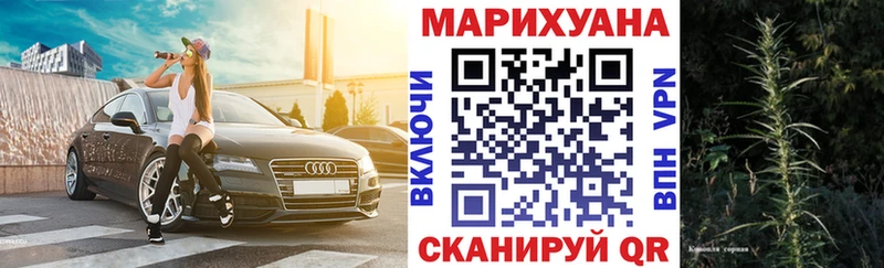 Каннабис сатива Гаврилов-Ям